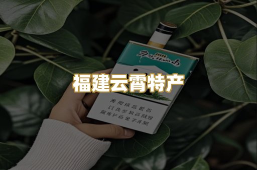 福建云霄特产